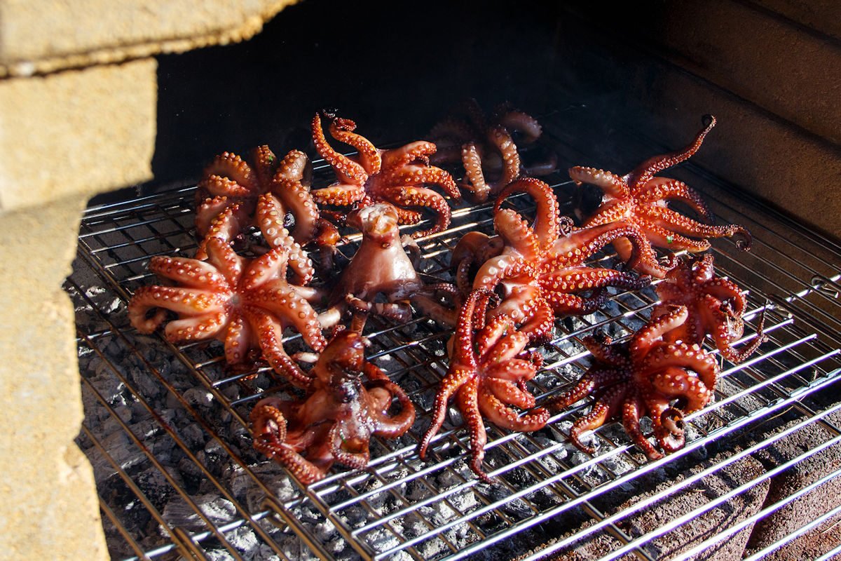 Elegir el mejor pulpo