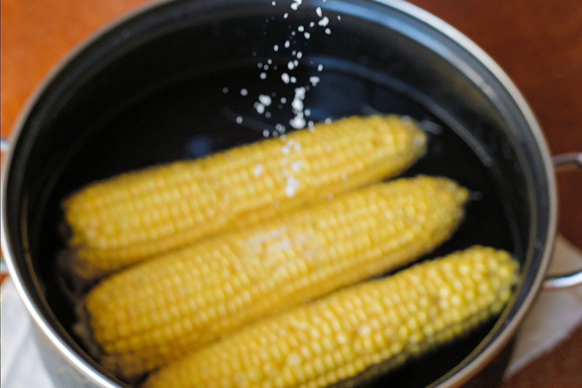 Aprende cómo cocer elotes