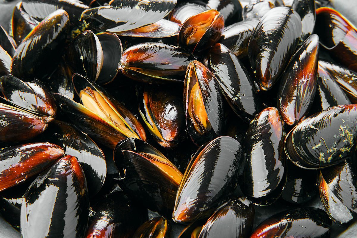 Cocción perfecta delos mejillones