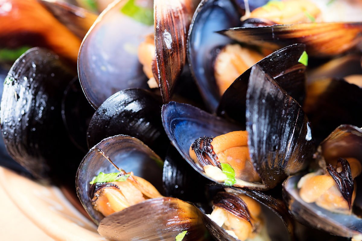 Cocer mejillones en agua hirviendo