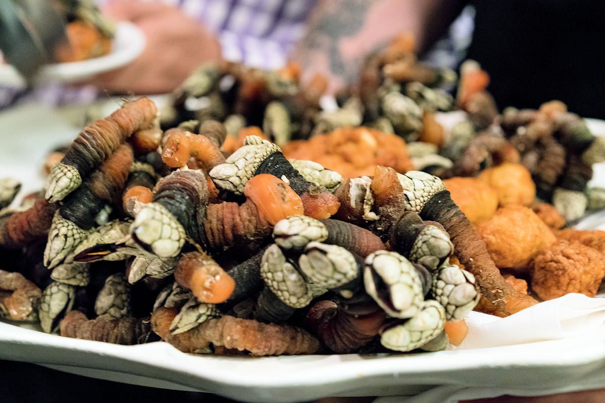 Cocer percebes en el microondas