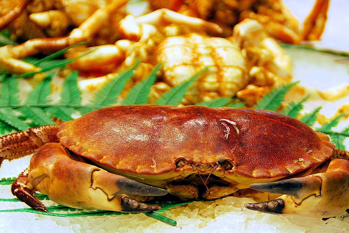 Cómo Cocer Buey de Mar