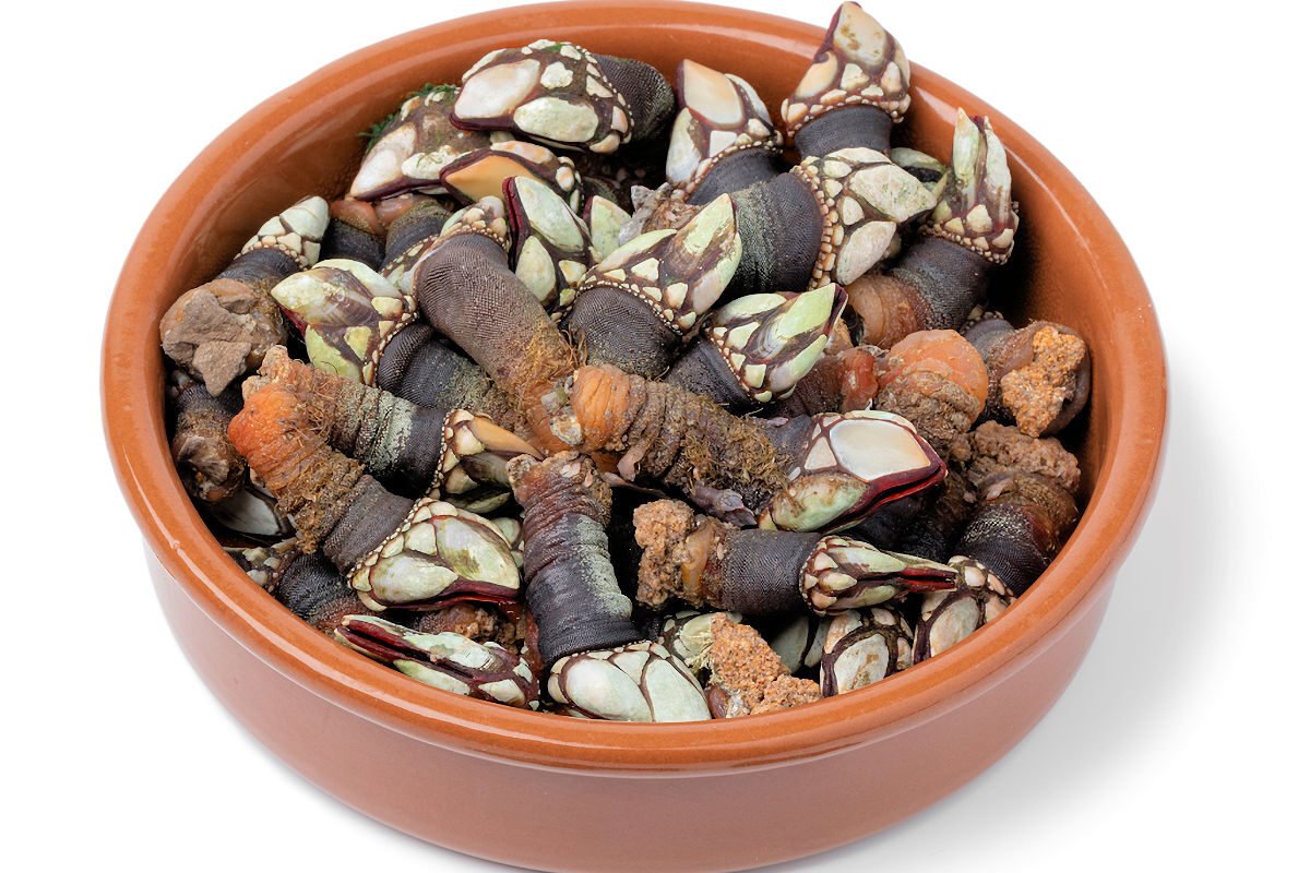 Cómo Cocer Percebes