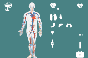Causas y síntomas de la colangitis