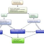 Diagnóstico de la Colangitis