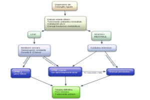 Diagnóstico de la Colangitis