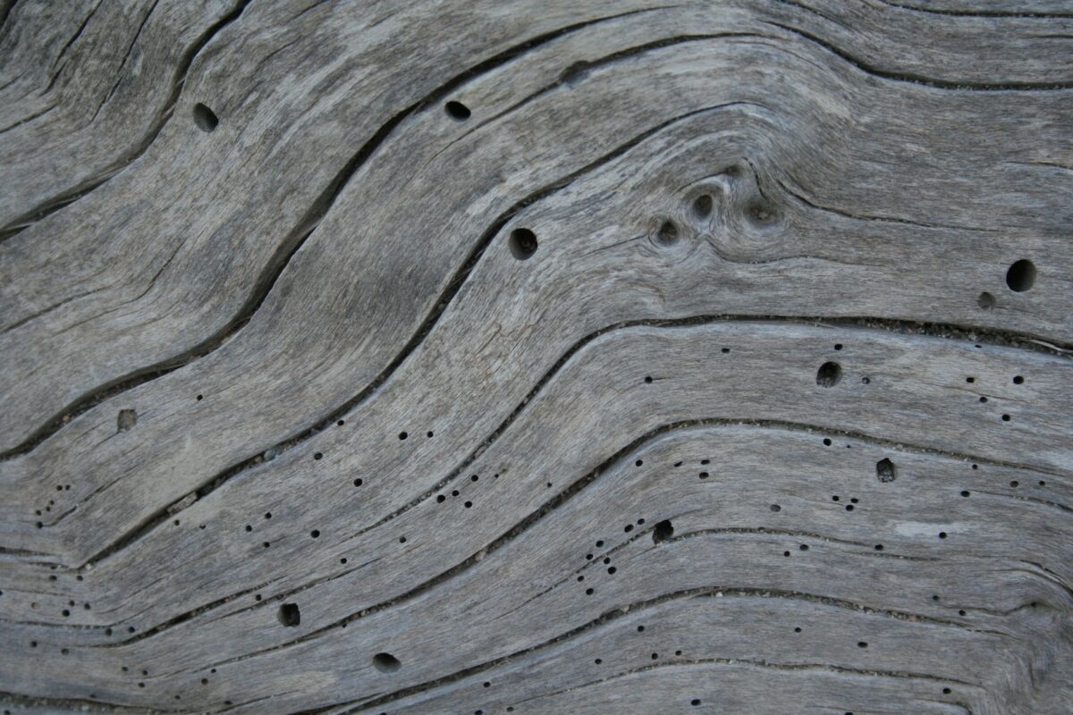 a close up of a wooden surface with holes in it
