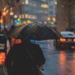 Ácido Fórmico en la Lluvia Ácida » Fenómeno Ambiental