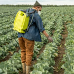 Uso del Ácido Nítrico en la Agricultura y en la Química » Beneficios. Foto por Envato.