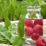 ÁCIDO CARBÓNICO » Propiedades, Usos y Beneficios Beneficios del ácido carbónico. Photo by silviarita. Pixabay.