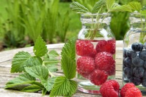 Beneficios del ácido carbónico. Photo by silviarita. Pixabay.