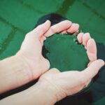 Cultivo de espirulina. Photo by Vita Marija Murenaite. Unsplash.