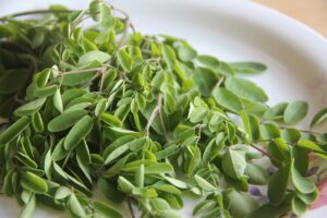 Formas de consumir moringa. Photo by 559343. Pixabay