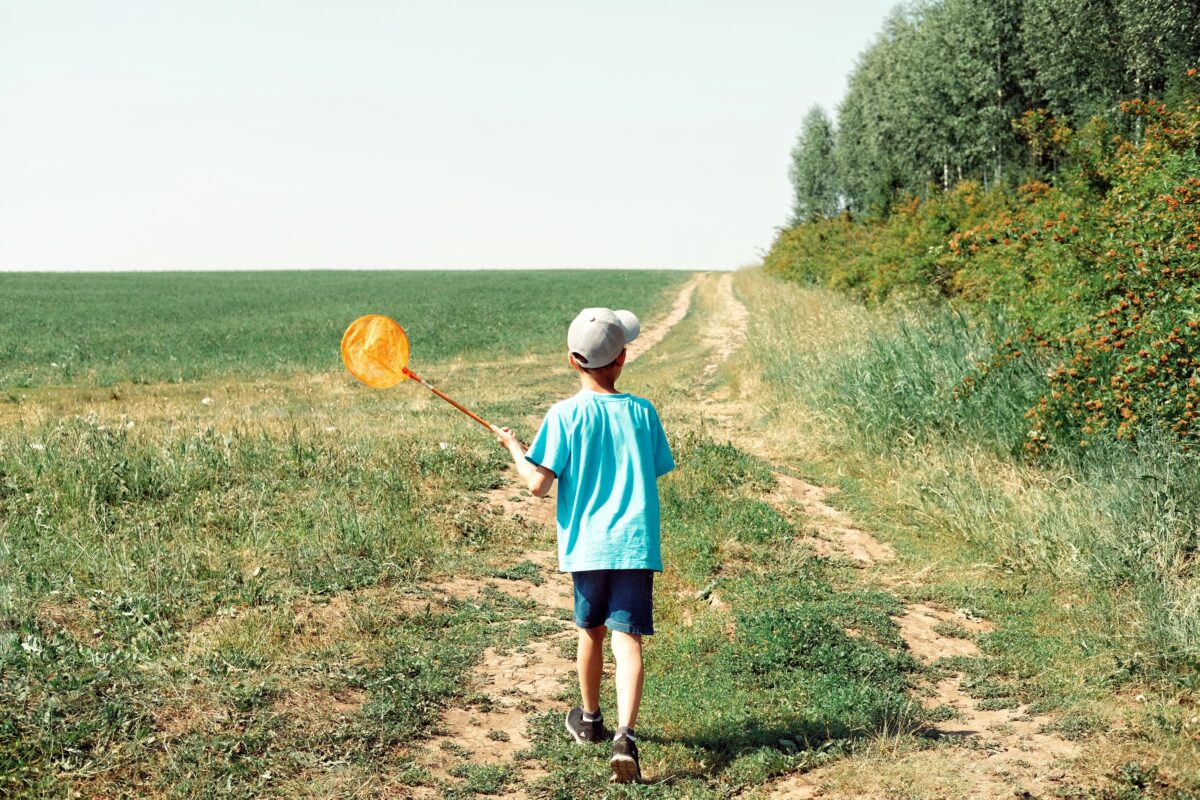 Picaduras de Insectos en el Campo » Peligros y Alergias. Foto por Envato.