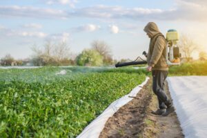 Sulfato de Cobre en las Plantas » Fertilizante y fungicida. Foto por Envato.