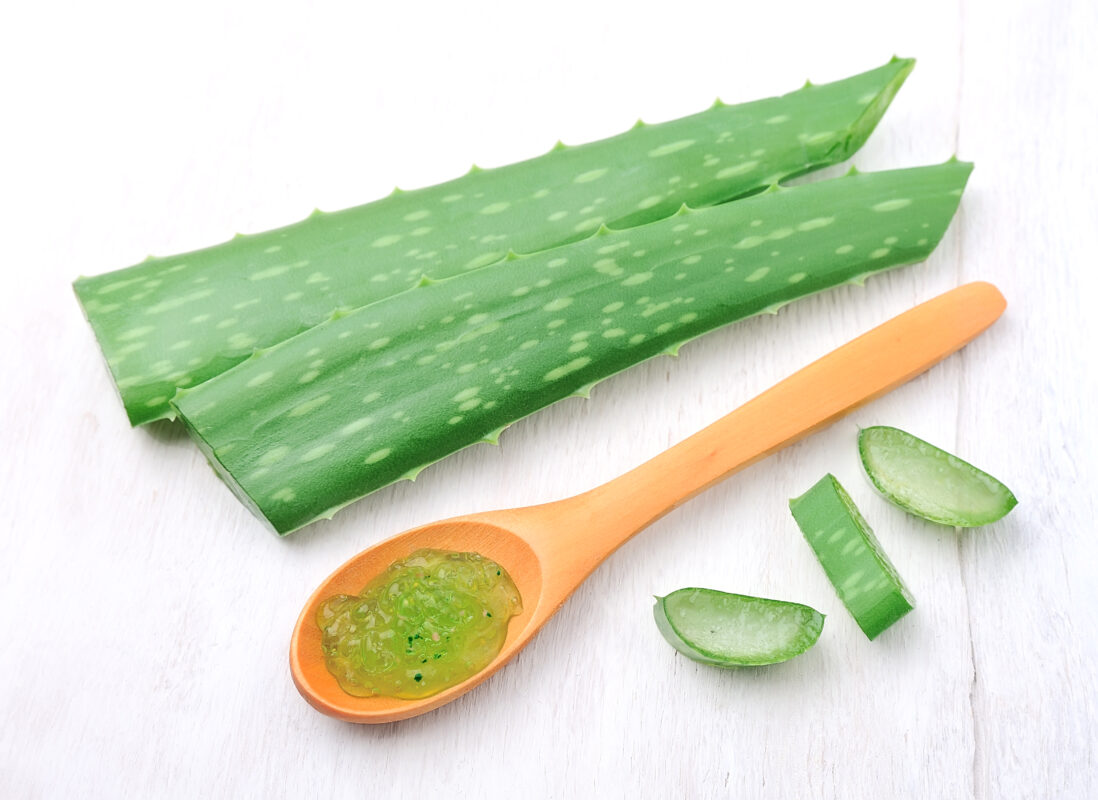 Aloe vera