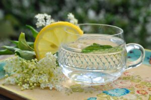 Infusión de Saúco. Photo by Hanne Hoogendam. Unsplash.