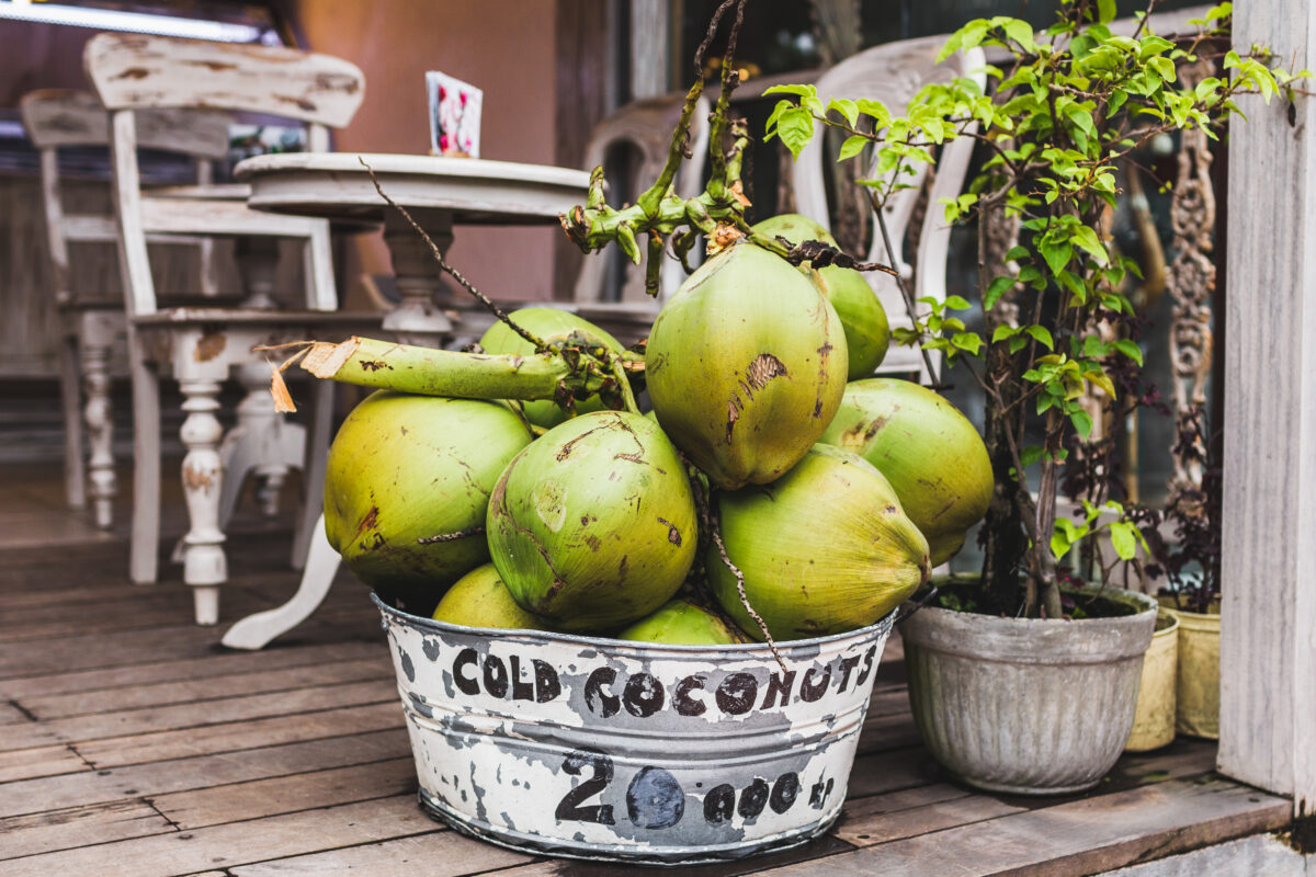 Basket with young green coconuts at the cafe entrance, hipster style