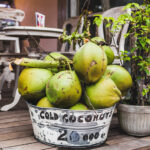 COCO » Beneficios, Propiedades, Calorías y Formas de Consumirlo Basket with young green coconuts at the cafe entrance, hipster style