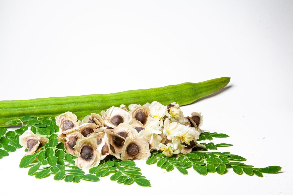 Semillas de Moringa. Photo by Adrian Dale. Unsplash.
