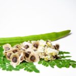 MORINGA » Propiedades, Beneficios y Formas de Consumir Semillas de Moringa. Photo by Adrian Dale. Unsplash.