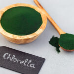 Chlorella. Foto por Envato.