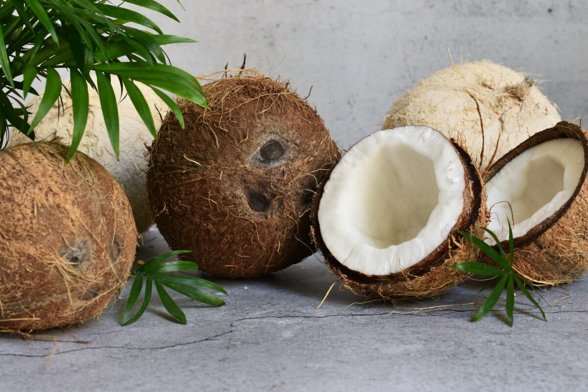 Usos del coco. Foto por Envato.