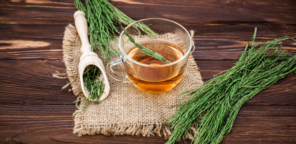 Infusión de Cola de Caballo. Foto por Envato.