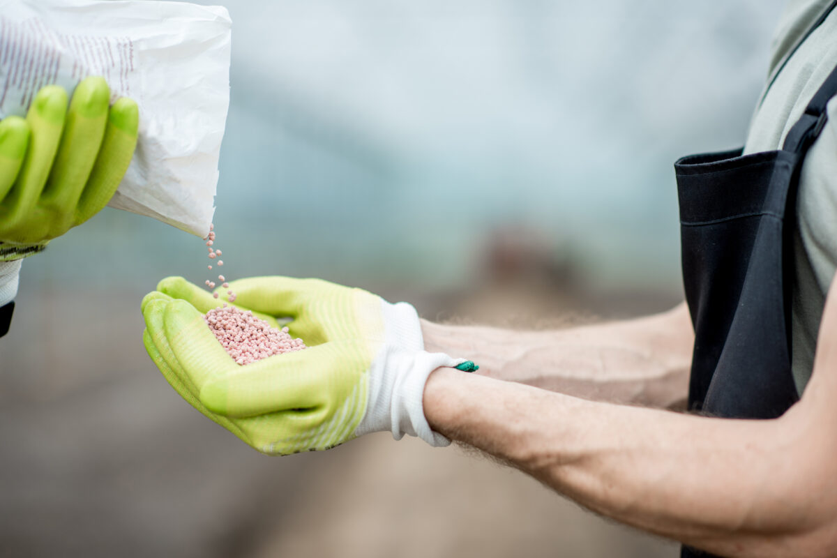 Ácido Fosfórico como Fertilizante. Foto por Envato.