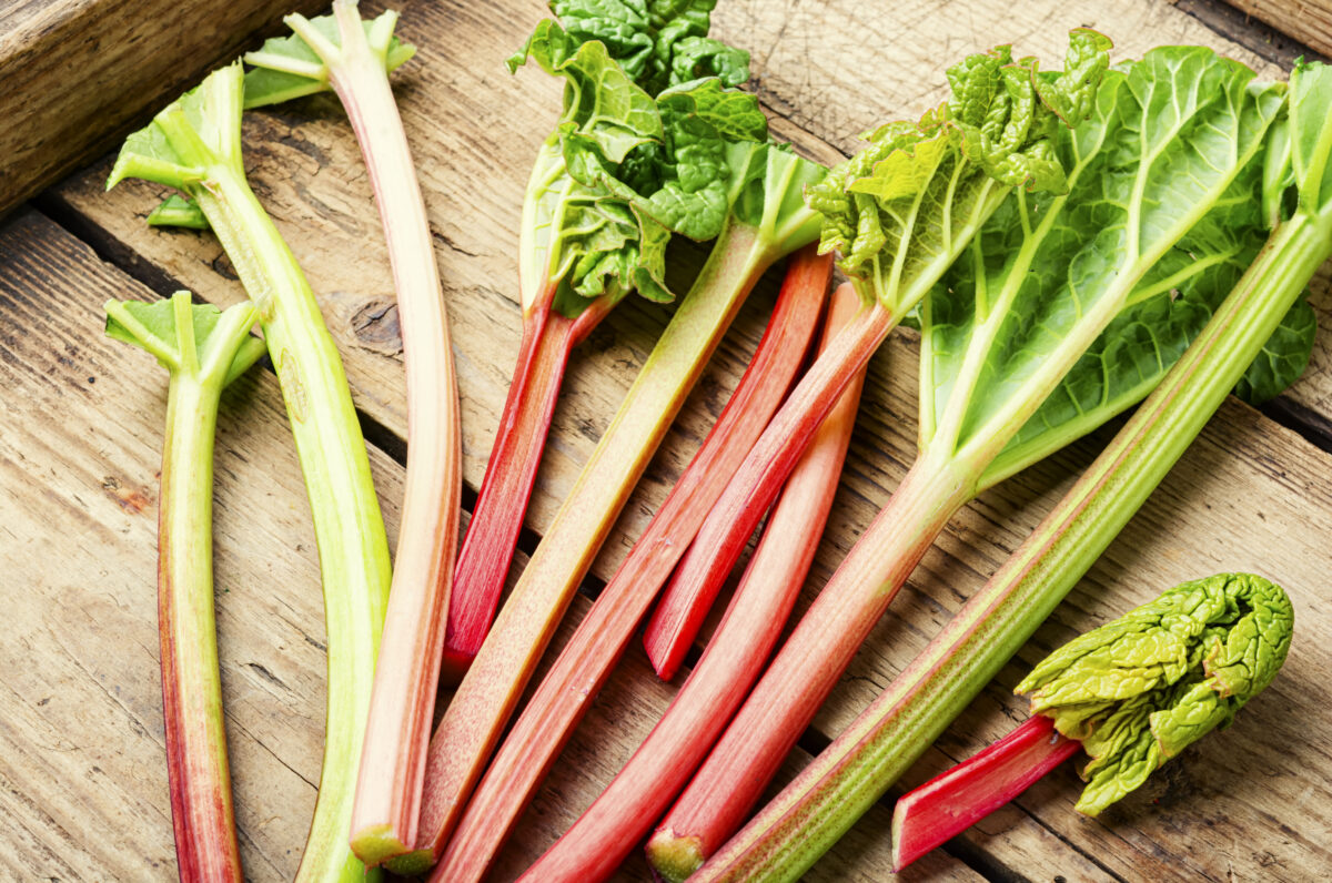 Propiedades del ruibarbo. Foto por Envato.