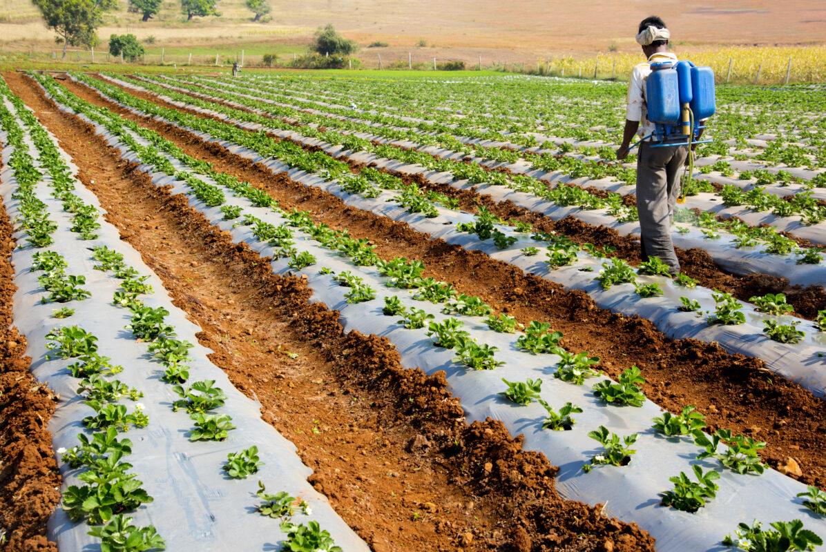 Propiedades del Ácido Fosfórico. Foto por Envato.
