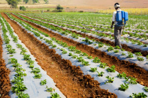 Propiedades del Ácido Fosfórico. Foto por Envato.