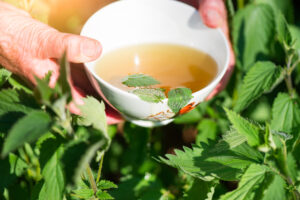 Infusión de Ortiga Verde. Foto por Envato.