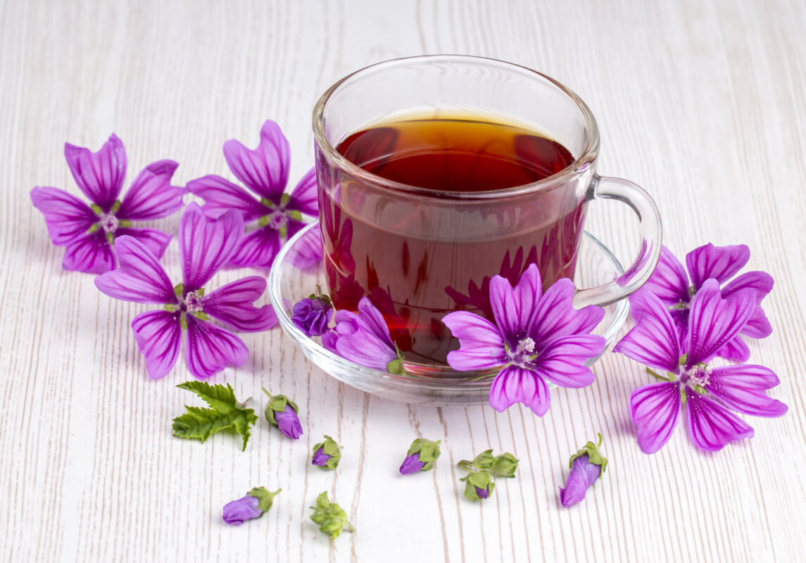 Infusión de Malva. Foto por Envato.