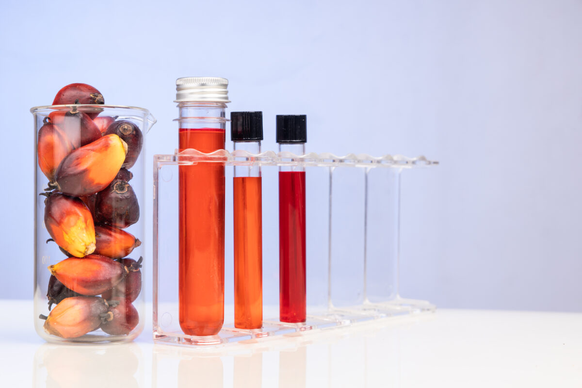 Red color unrefined palm oil and fruits with beaker test tube in laboratory