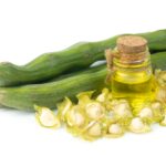 MORINGA » Propiedades, Beneficios y Formas de Consumir Aceite de Moringa. Foto por Envato.