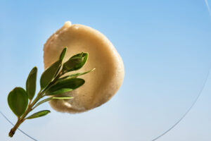 Propiedades del Ácido Glicólico. Foto por Envato.