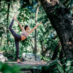 MORINGA » Propiedades, Beneficios y Formas de Consumir Moringa como energizante. Foto por Envato