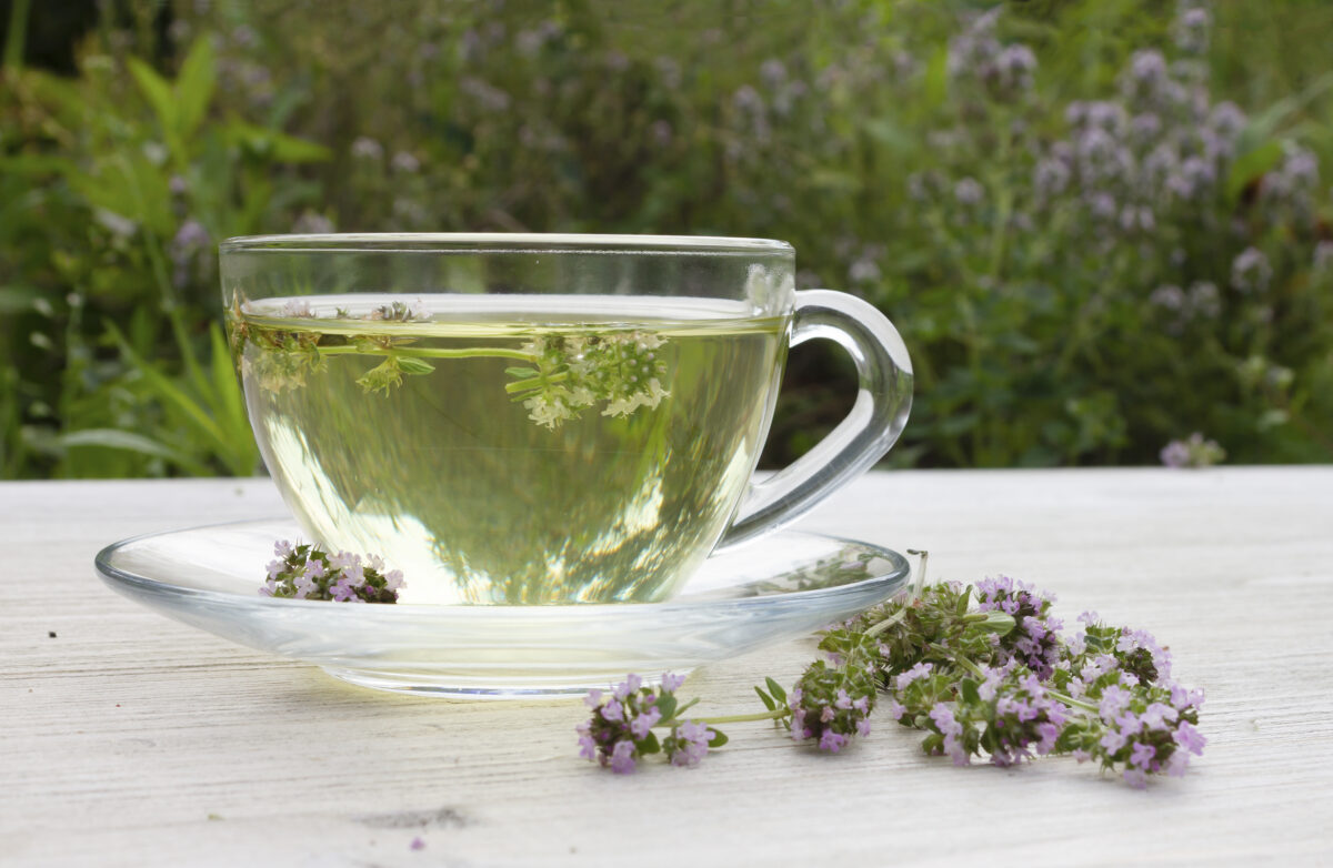 Infusión de Tomillo. Foto por Envato.
