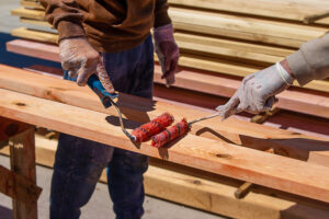 Eliminar las termitas. Foto por envato.