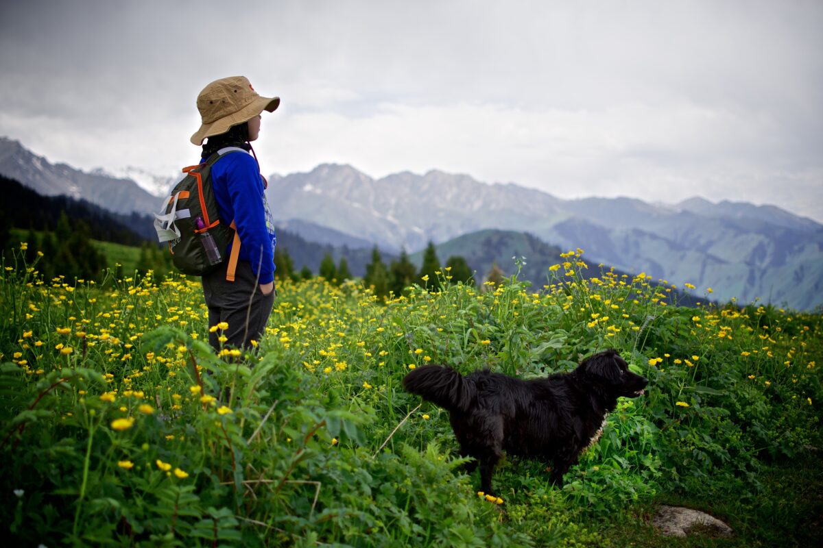 Young boy stands with the black dog in the field of yellow flowers