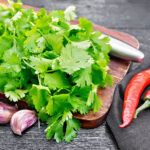 Cilantro. Foto por Envato.