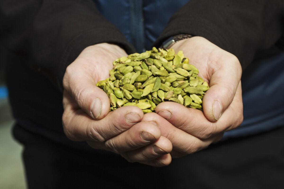 Beneficios del cardamomo. Foto por Envato.