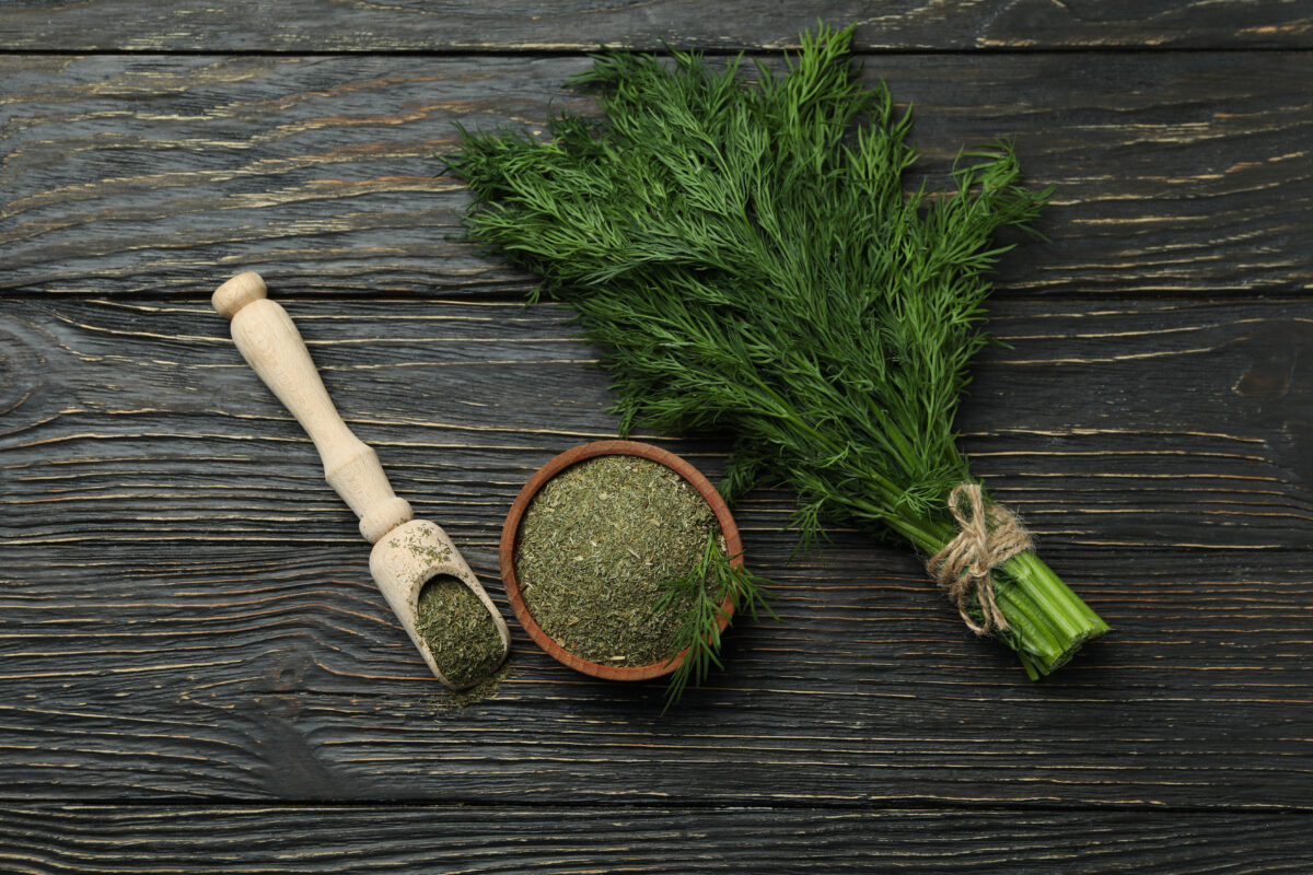 Eneldo. Foto por Envato.