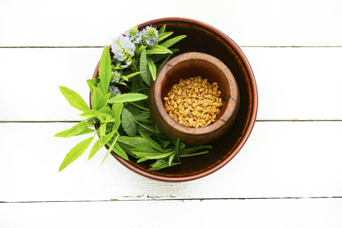 Contraindicaciones del Fenogreco. Foto por Envato.