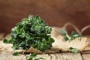 Beneficios del Orégano. Foto por Envato.
