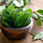 Laurel. Foto por Envato.