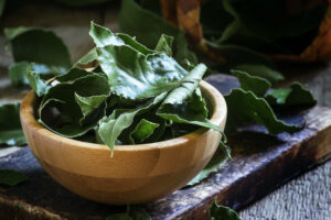¿Cuándo Cortar las Hojas del Laurel? Foto por Envato.