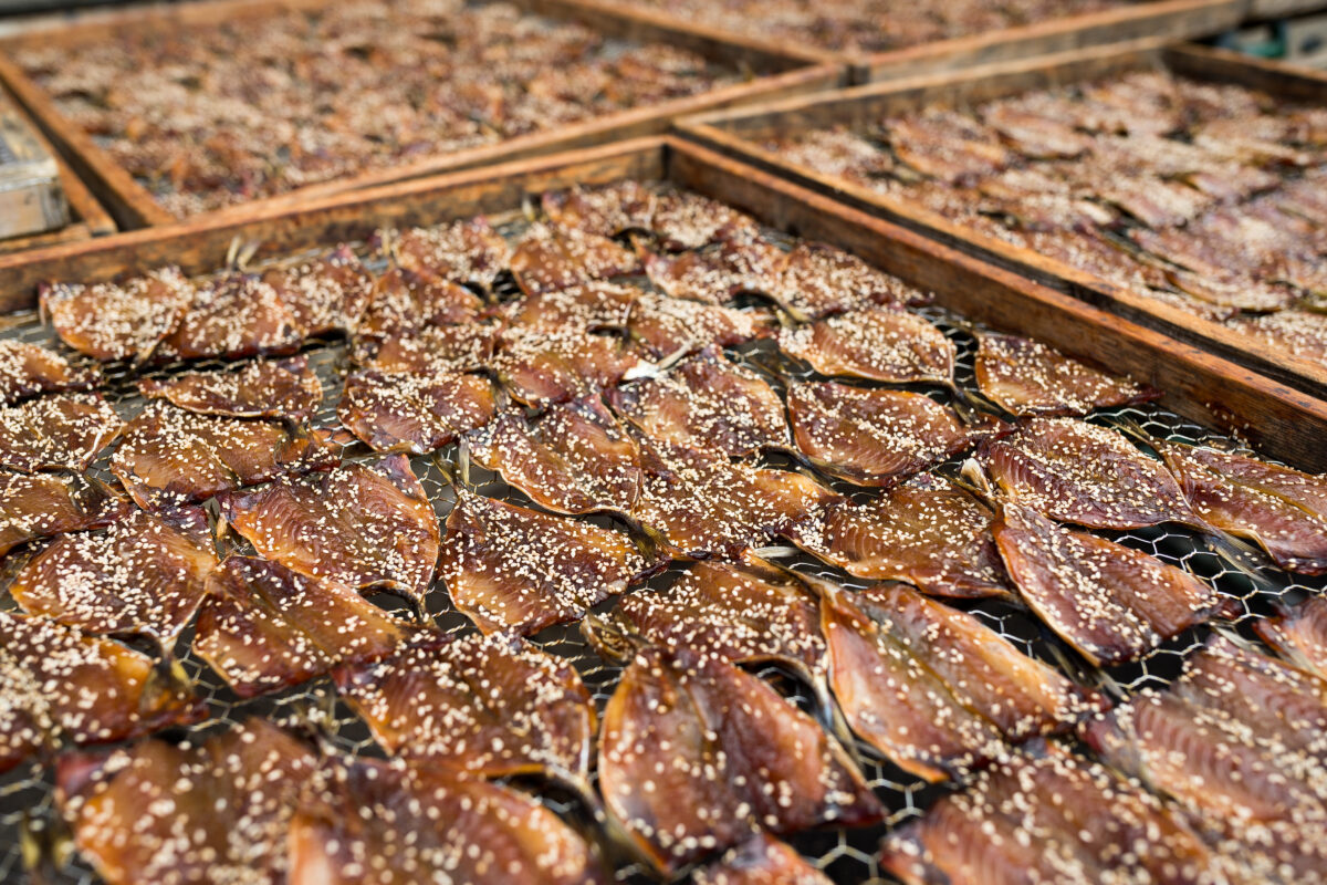 Usos del Ajonjolí. Foto por Envato.